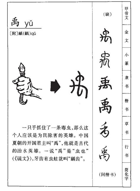 禹字意思